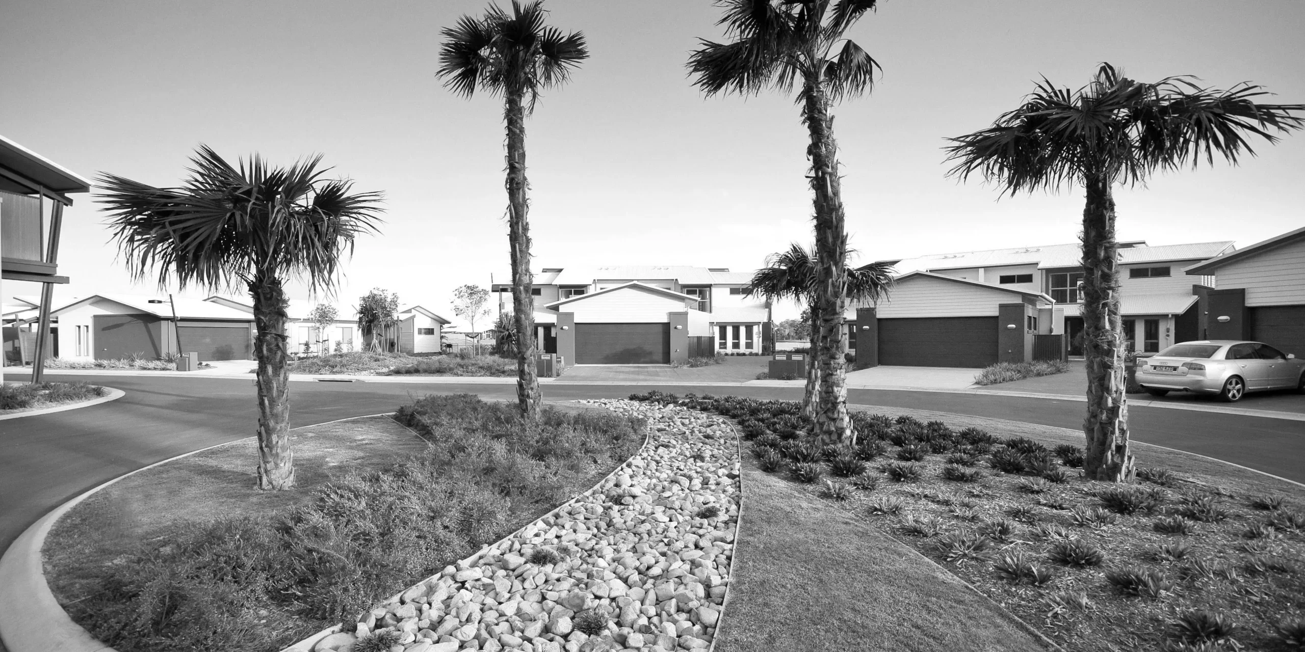 Palms trees in a roundabout with a decorative stone feature to the center in black and white