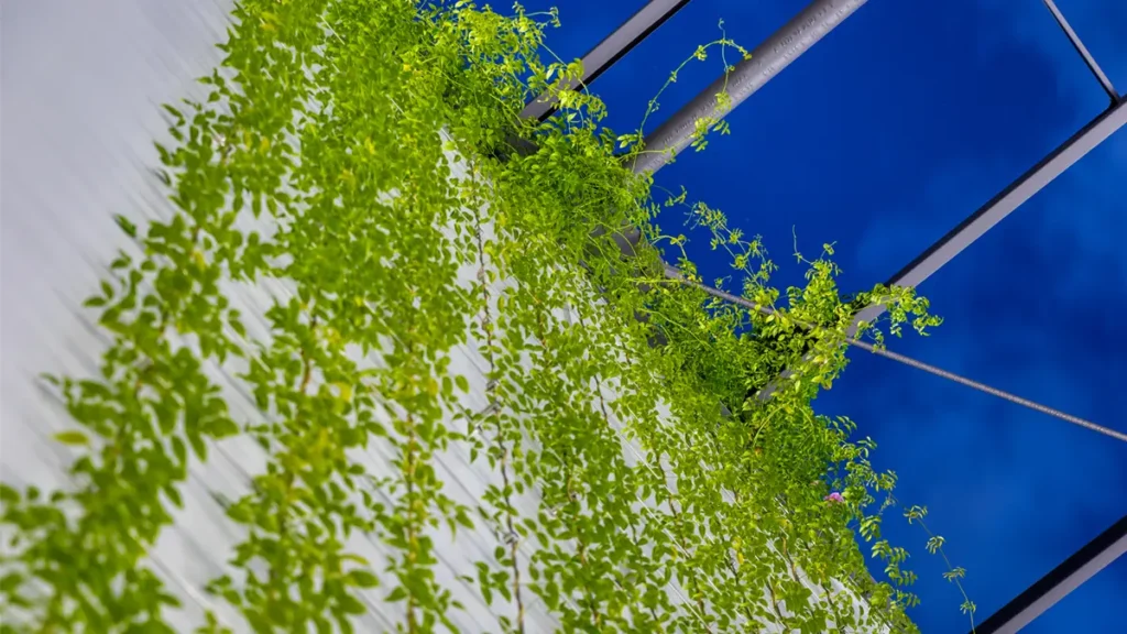 Significant Benefits of Green Walls in Urban Spaces