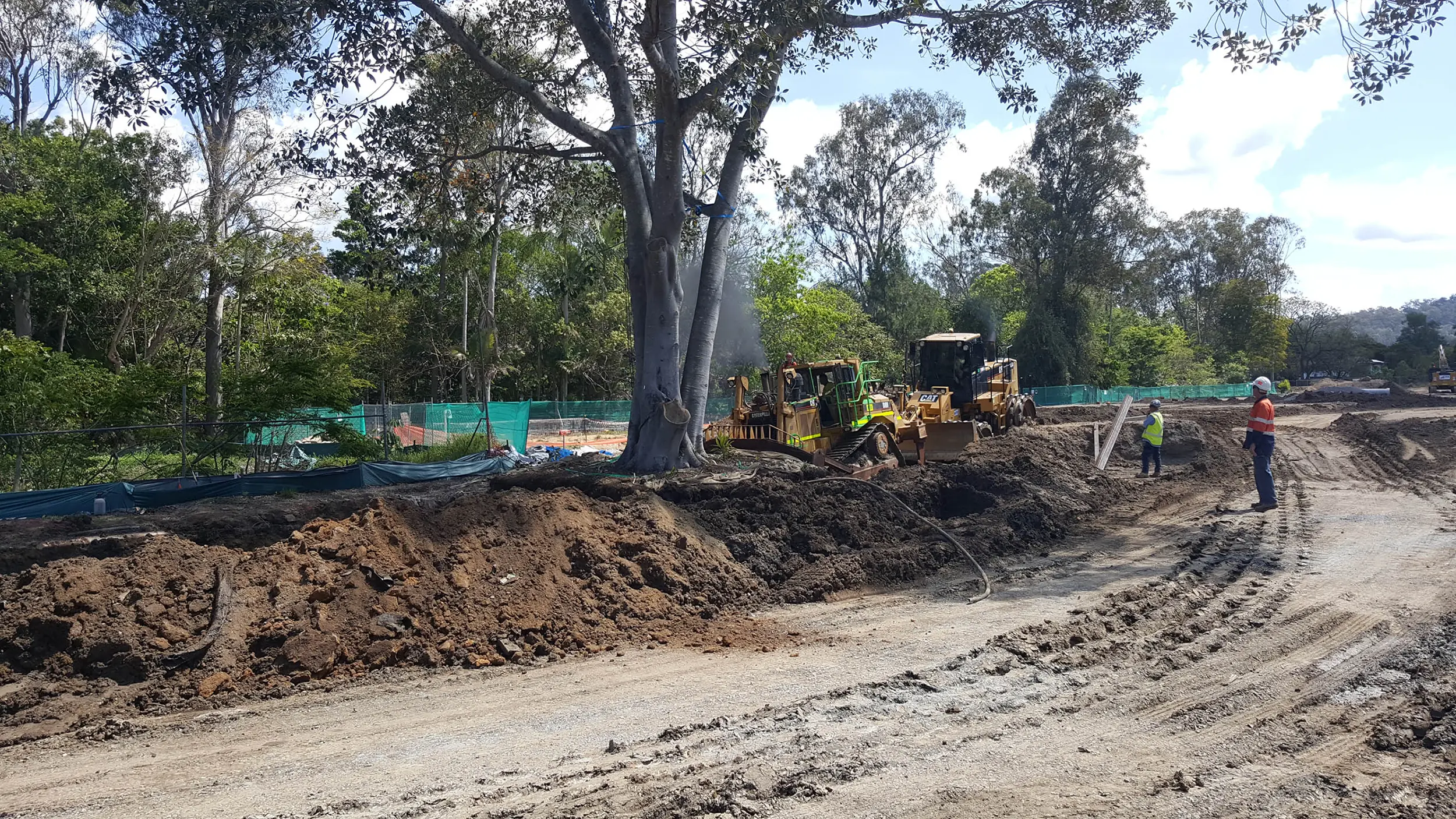 Photo of Tallowwood construction