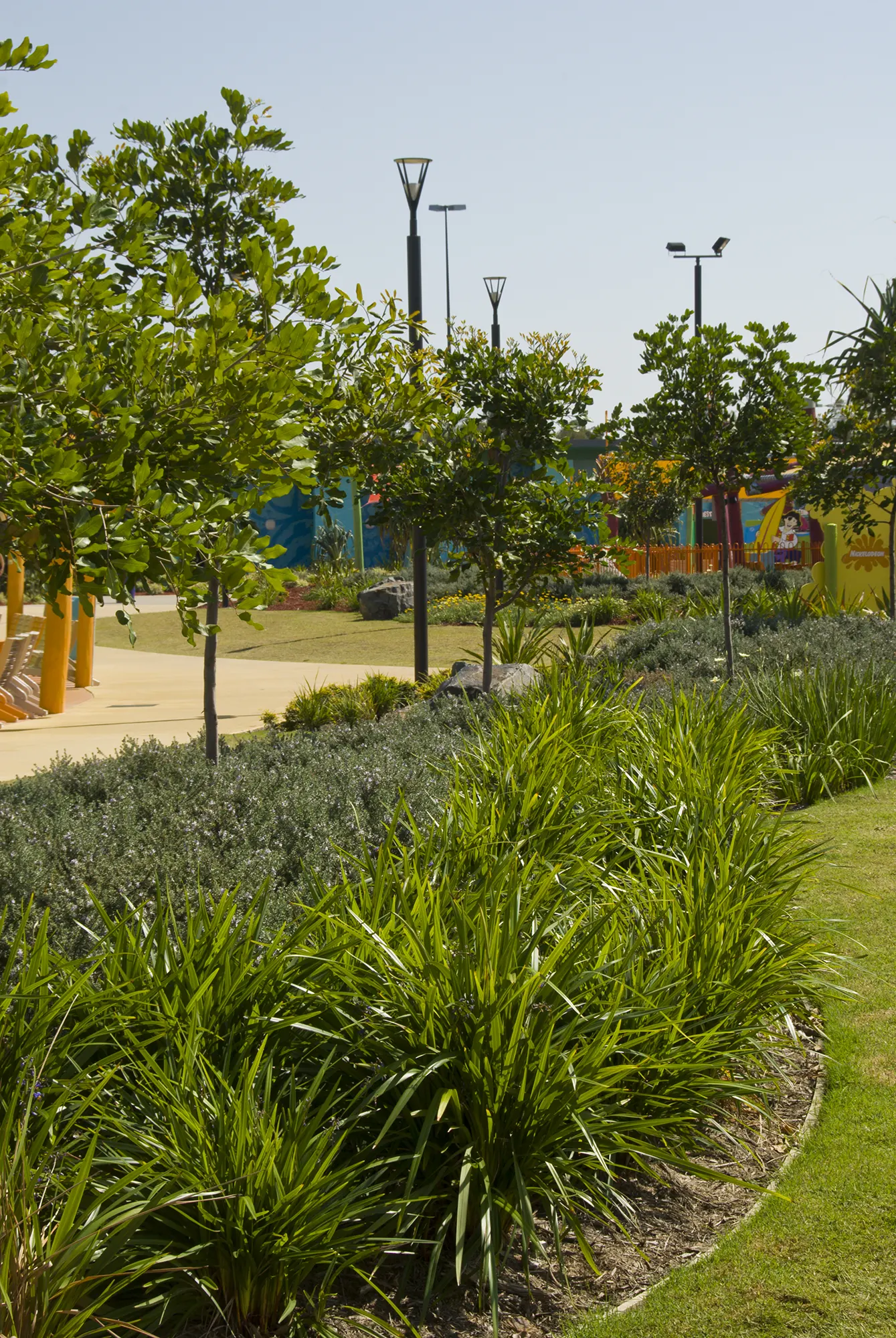 Trees and groundcovers along pedestrian pathway