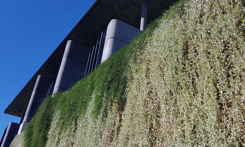 Green Walls