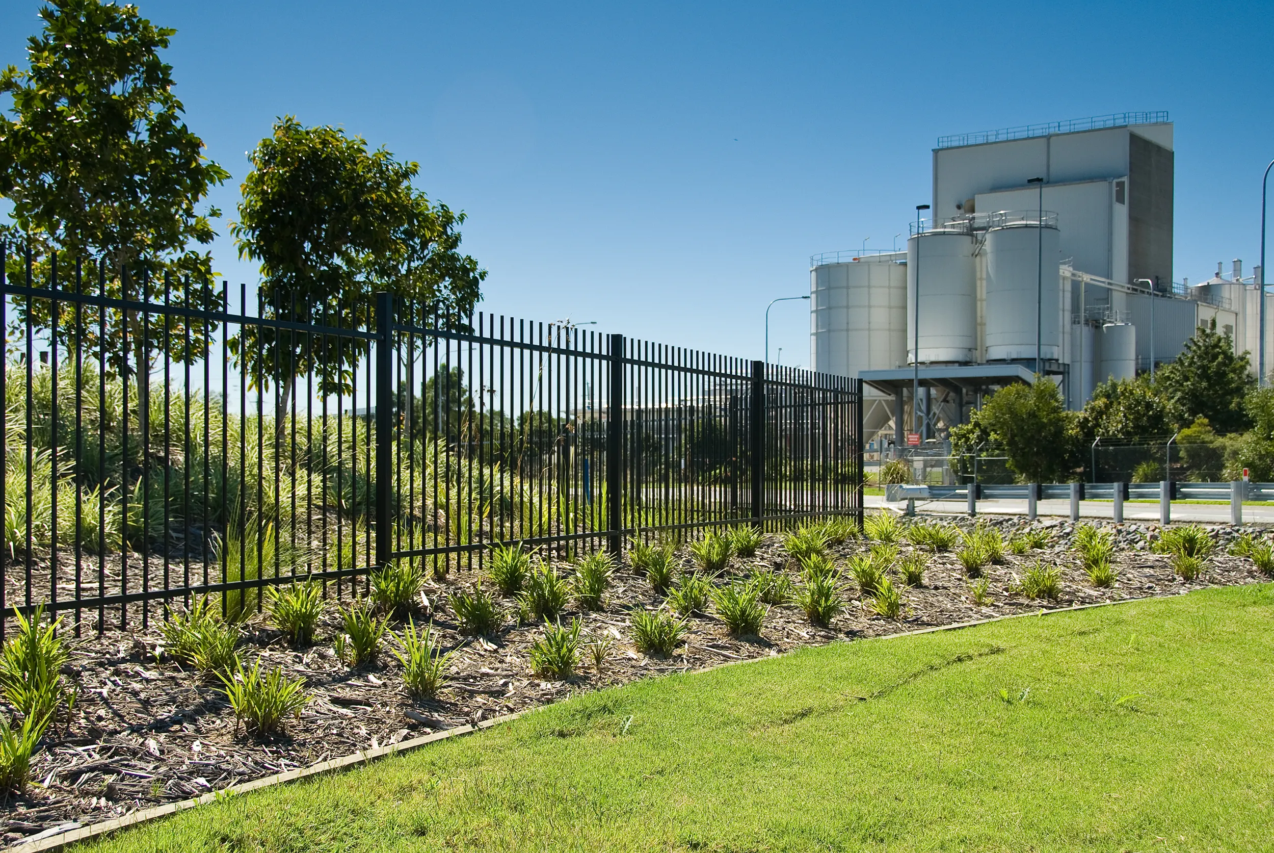 m1 landscape planting to landscape buffers