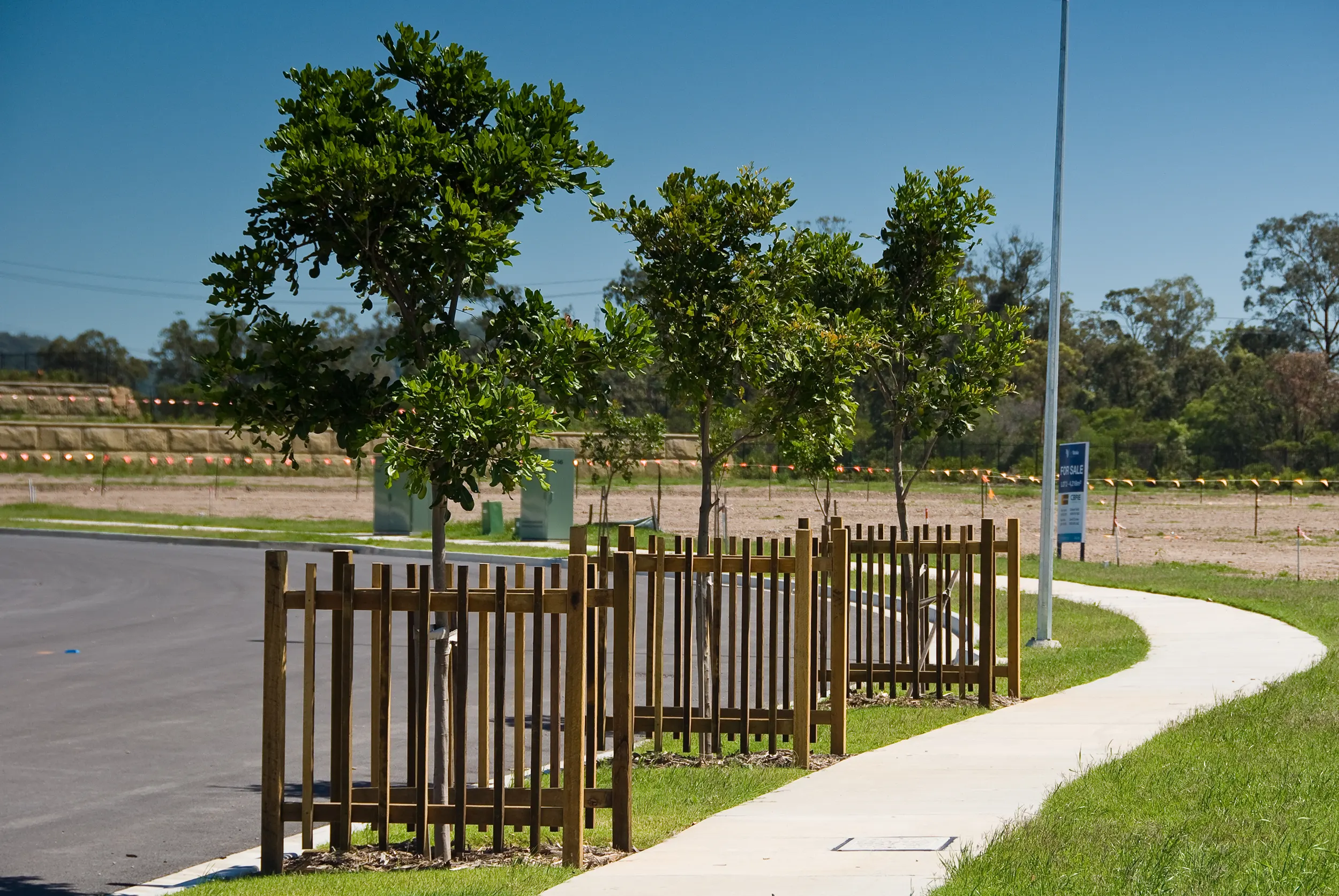 m1 street trees to streetscape