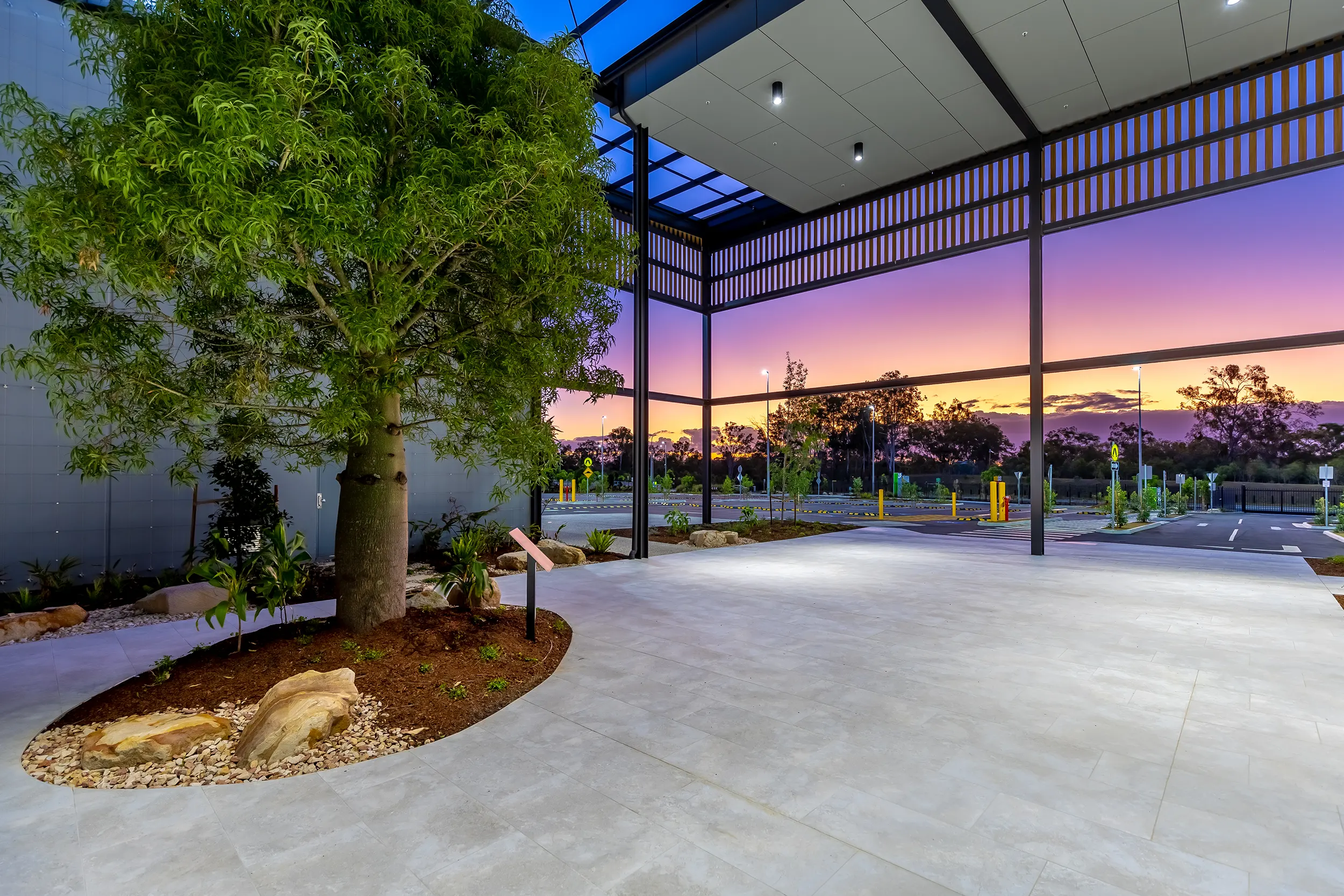 Bapcor Distribution Centre entry forecourt with ex-ground bottle tree (Brachychiton rupestris)