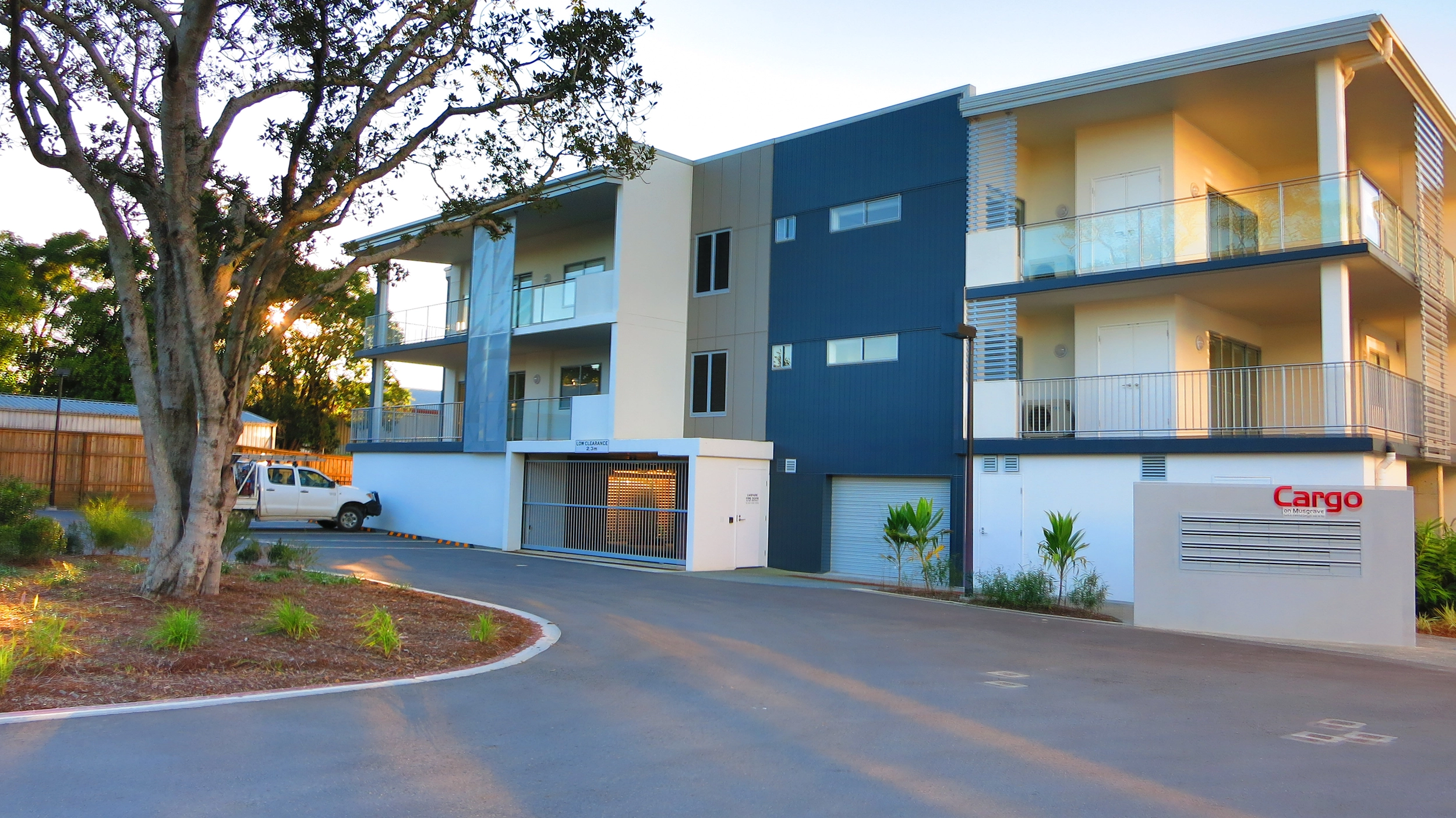 Cargo Apartments Retained Ficus Tree