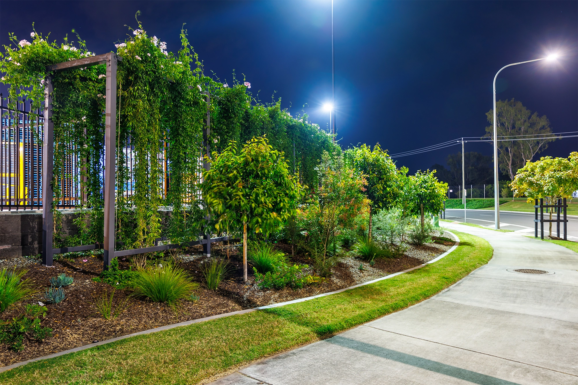 Landscape buffer on the corner frontage of the site, featuring a mix of shrubs, trees, and greenery for enhanced privacy and aesthetics.