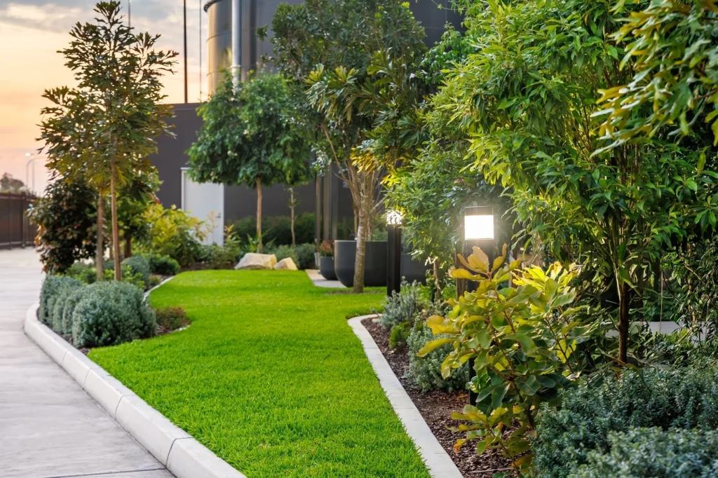 Recreational space for commercial landscapes featuring lush turf and trees, providing a green and inviting environment.